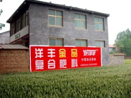孝昌如何让墙体广告展现最大化效果