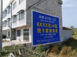 孝昌墙体广告质量分析