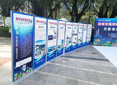 孝昌KT板的种类和知识。